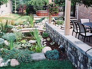 Pool and Retaining Wall